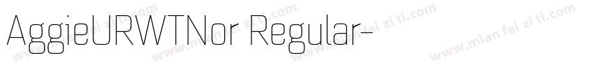AggieURWTNor Regular字体转换